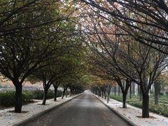 -西北农林科技大学(北校区)