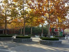 -龙口南山旅游景区