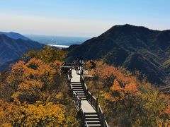 -大岭沟猕猴桃谷风景区