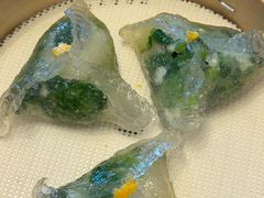 碧绿带子豆苗角-金苑海鲜酒家(来魅力店)