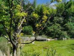 -上海吴淞炮台湾国家湿地公园