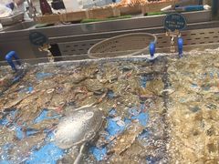-半岛听涛蒸汽海鲜自助(K11店)