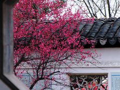 -八大山人梅湖景区