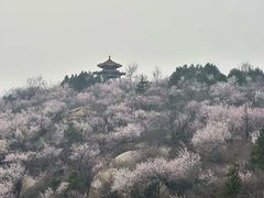 -白水寺森林公园