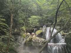 -牛背梁国家森林公园