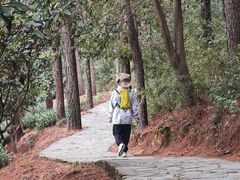 -九龙潭景区