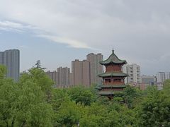 -迎泽公园