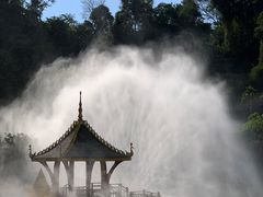 -西双版纳原始森林公园