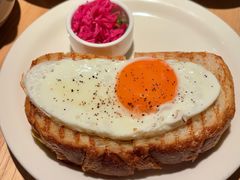 -O'eat Blossom&Pelican(深圳首店)
