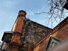 -武汉园博园(武汉自然博物馆)