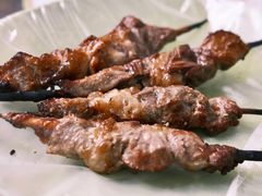 红柳烤肉-艾力江和田馕坑烤肉店
