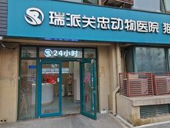-瑞派·关忠动物医院·猫专科·犬专科(三环新城店)