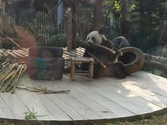 -大连森林动物园