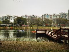 -新江湾城公园
