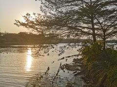 -海珠湖公园
