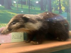 -下渚湖国家湿地公园科普馆