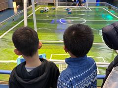 -中国宋庆龄青少年科技文化交流中心
