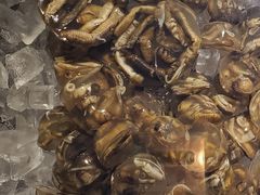 -铭聚章鱼土笋冻(松柏店)