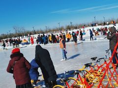 -绿野森林乐园冰雪季