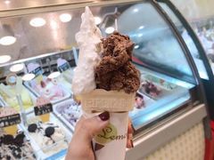 -柠檬车露(卖草地店)