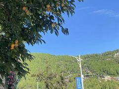 -博山九龙峪风景区