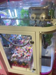 -卡通尼·Safari非洲探索乐园·生日会(金桥国际商业广场店)