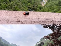 -十九峰景区