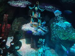 -沈阳海洋探索中心