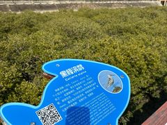 -北海金海湾红树林生态旅游区