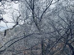 -紫金山索道-售票处