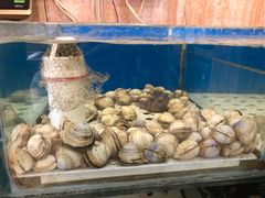 水产区-泰来酒店