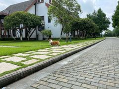 -太阳岛度假酒店