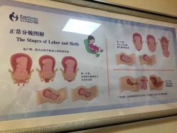 -上海艾儿贝佳妇产科医院
