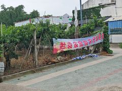 -老袁家蜜桃农场·阳山水蜜桃