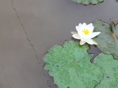 -成都蒲江花样年福朋喜来登度假酒店·宜客乐西餐厅