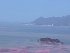 -花竹村