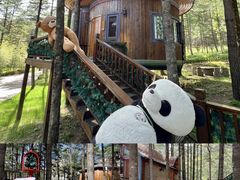 -洛阳白云山景区