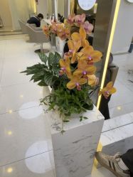 -虫二·专注健康烫染沙龙