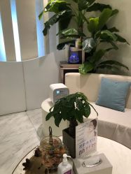 -健身堂科技美肌SPA