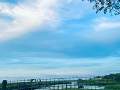-碧海金沙