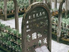 -南山植物园