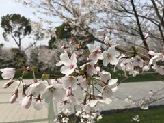 -中共上海市委党校 上海行政学院