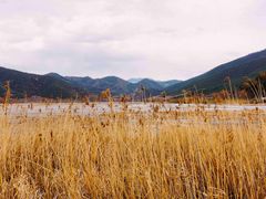 -泸沽湖国家级风景名胜区走婚桥