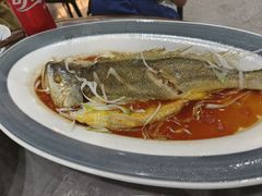 -前海沿·青岛菜(大拇指广场石老人店)