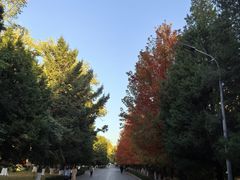 -辽宁大学(崇山校区)