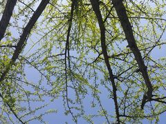 -西南民族大学南区(双流校区)