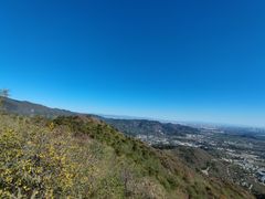 -北京西山国家森林公园