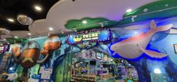 -万达宝贝王(成都锦华店)