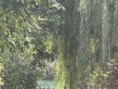 -唐山尚禾源旅游景区