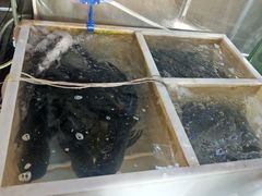 -传统菜农庄(皇姑路店)